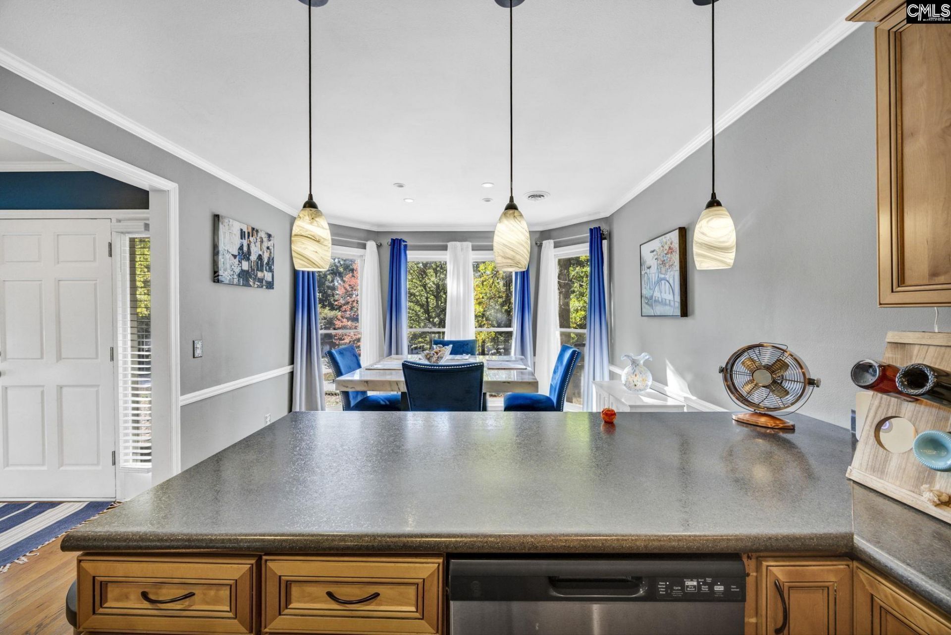 100 Mallard Lakes Court  Photo 9