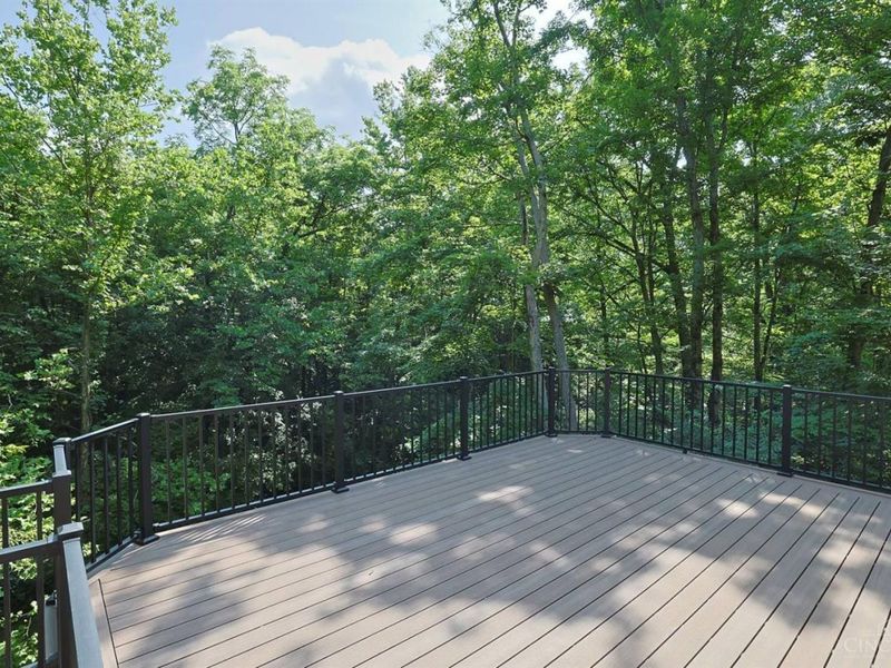 11702 Retview Lane, Symmes Township, OH 45140 Photo 39