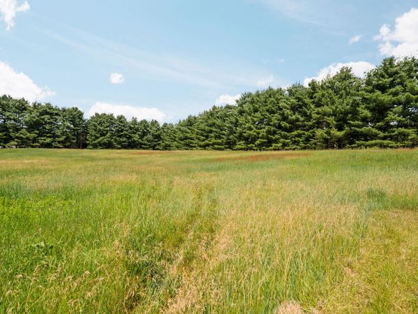 18250 Bush Road, Chelsea, MI 48118