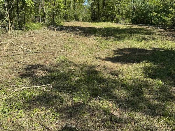 1990 Highway 556 , Sandy Hook, KY 41171