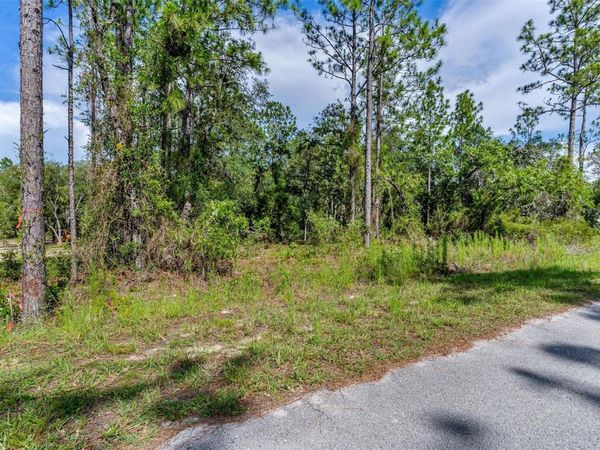 SW VIOLA COURT , DUNNELLON, FL 34431