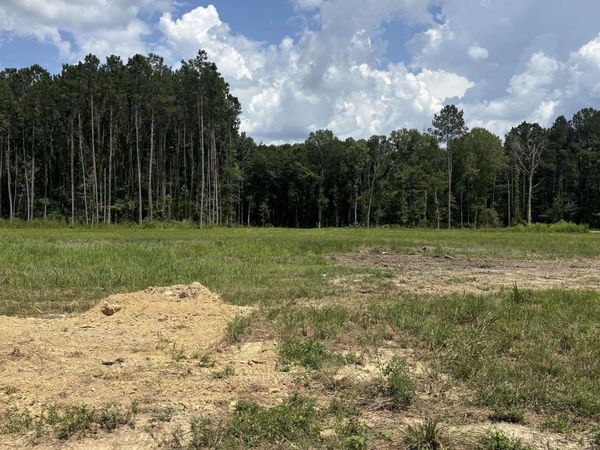 34766 Clinton Allen Rd, Denham Springs, LA 70706