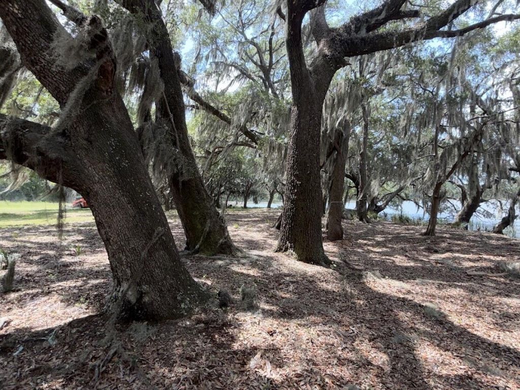 4491 Sc-165 Photo 10