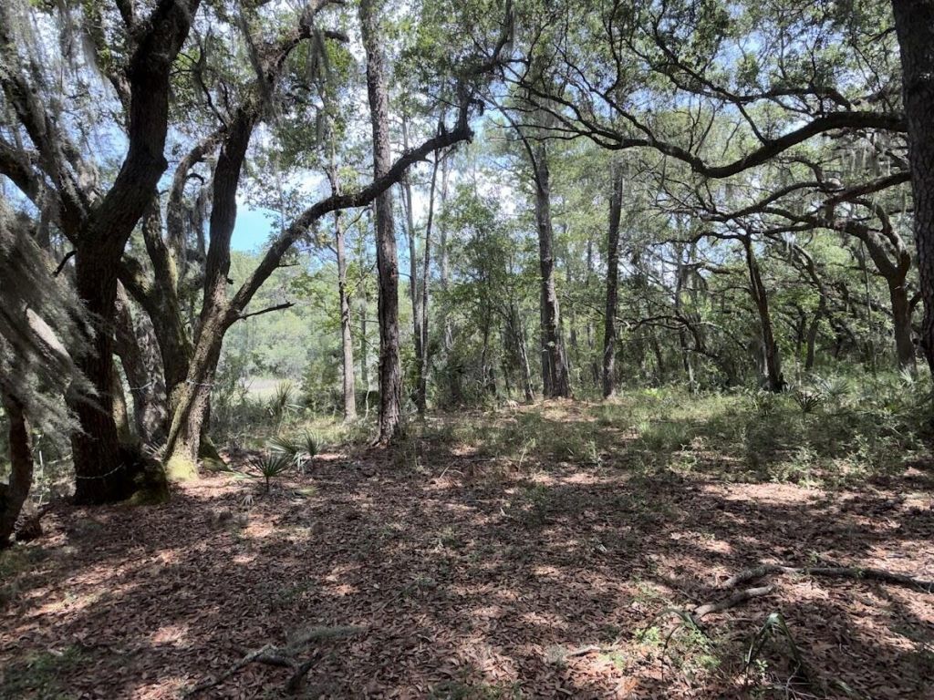 4491 Sc-165 Photo 12