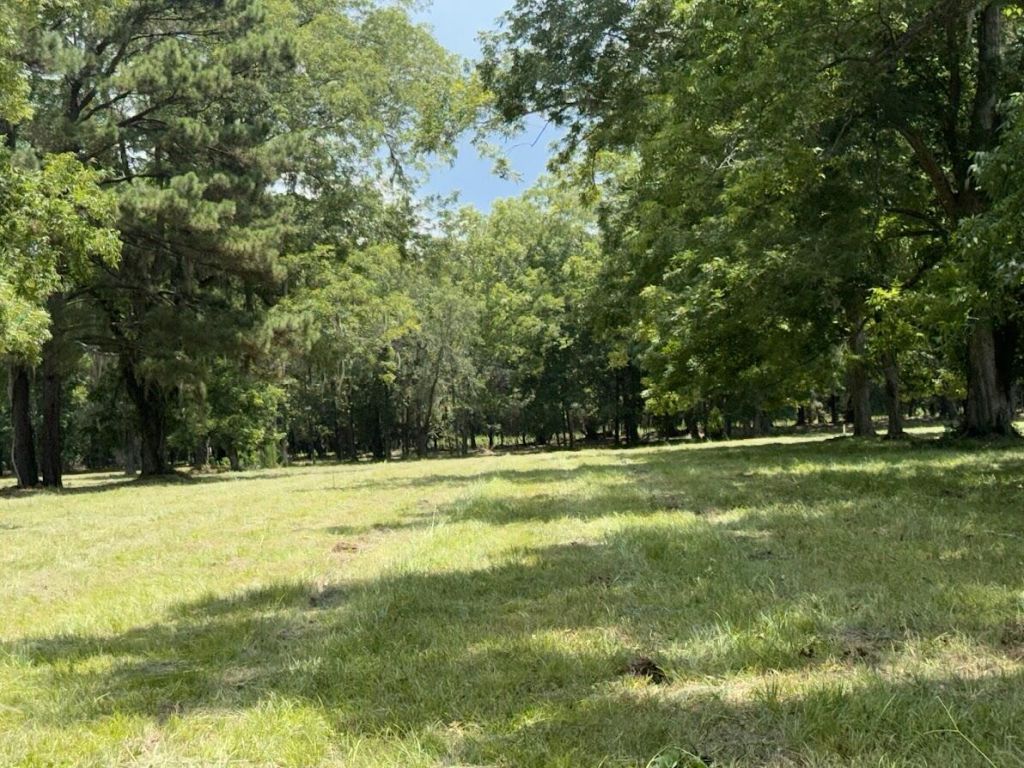 4491 Sc-165 Photo 15