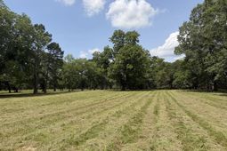 4491 Sc-165 photo 4