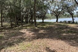 4491 Sc-165 photo 4