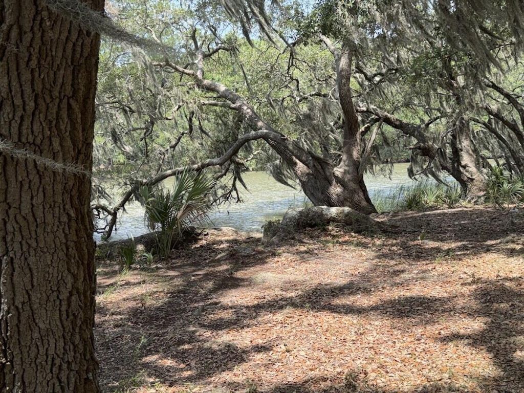 4491 Sc-165 Photo 7