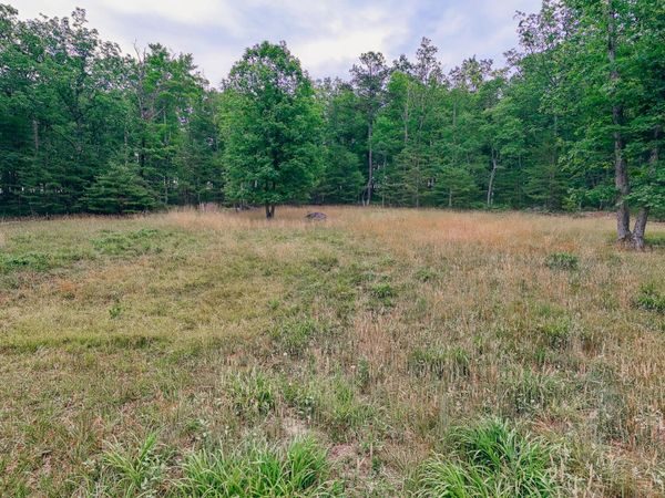 0 Johns Creek Mountain RD , New Castle, VA 24127