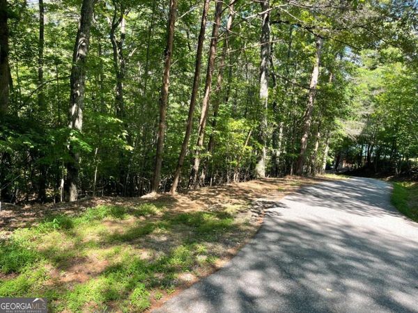 0 Rizzitello Lane, Unit 5, Blairsville, GA 30512