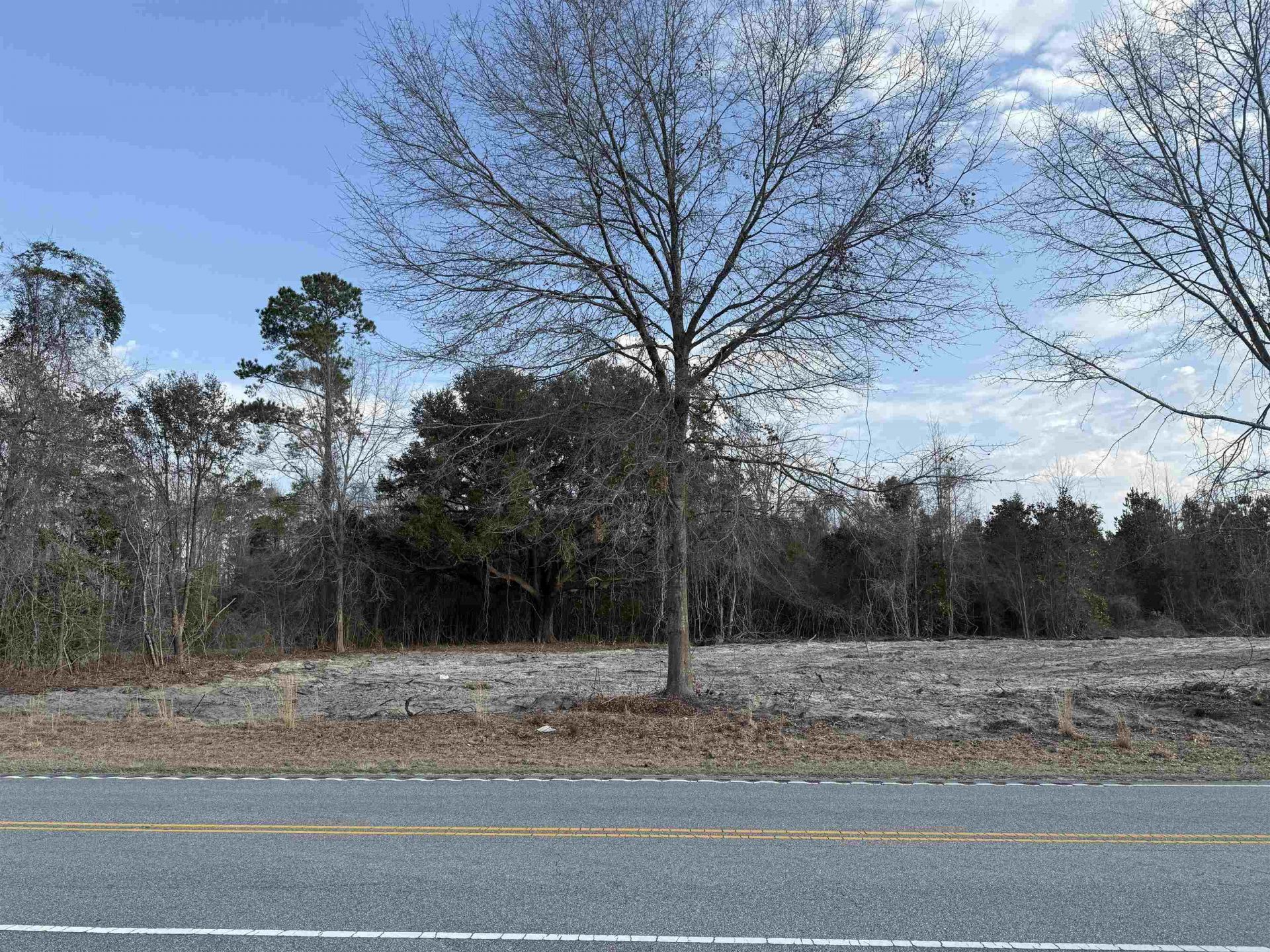 10576 W Highway 19, Loris, SC 29569 Main Photo