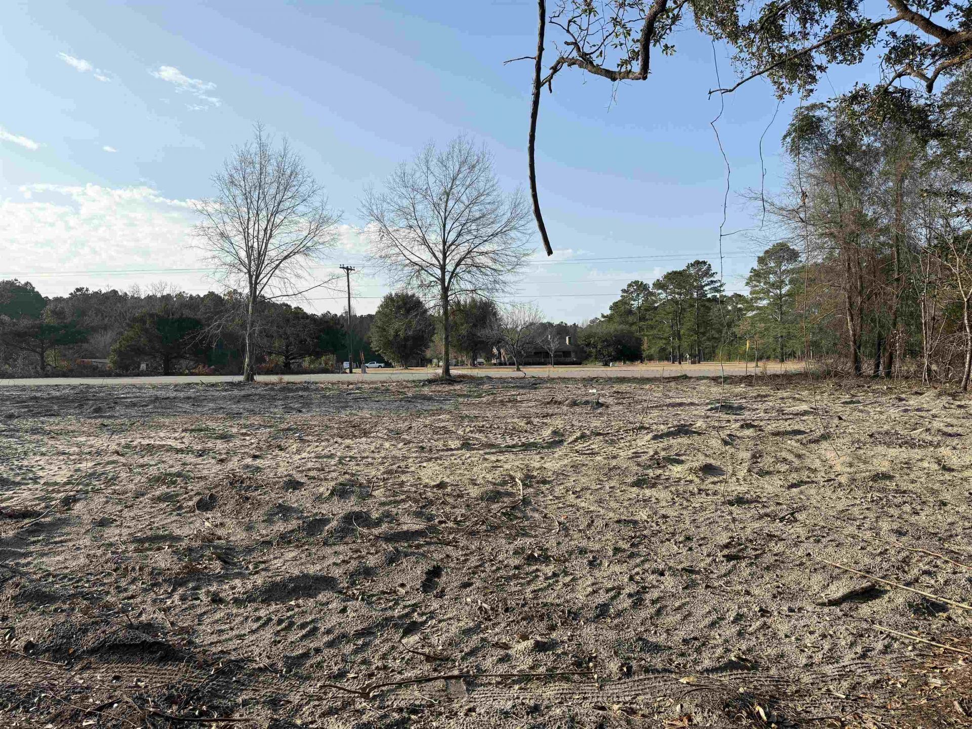 10576 W Highway 19 Photo 2