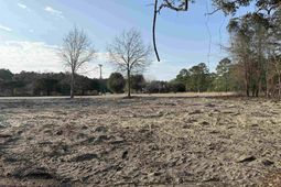 10576 W Highway 19 photo 4