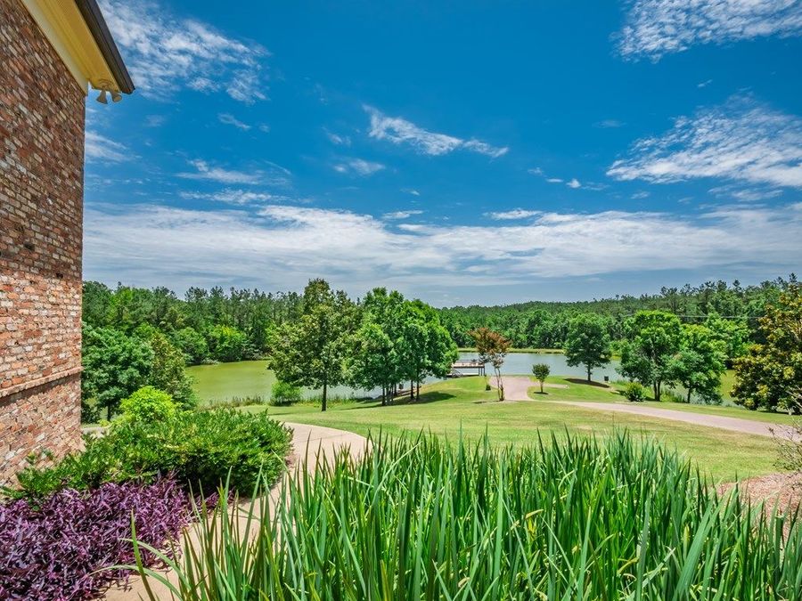 Property Image 68