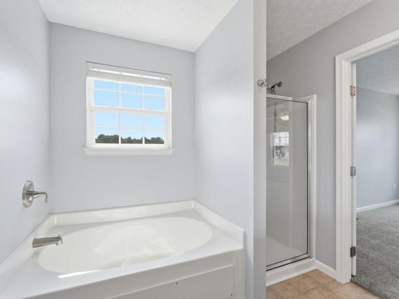 1102 Audas Court, Independence, KY 41051 Photo 36