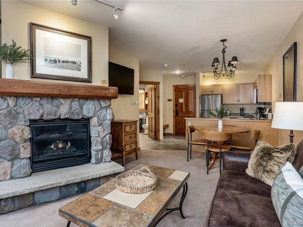100 Dercum Square , Unit 8343, Dillon, CO 80435