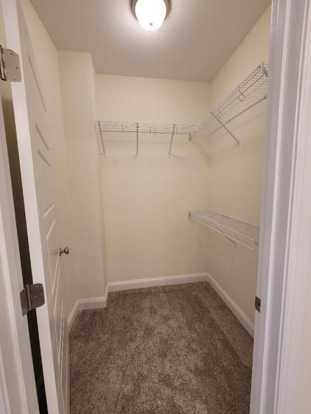 949 Jackline Place  Photo 18