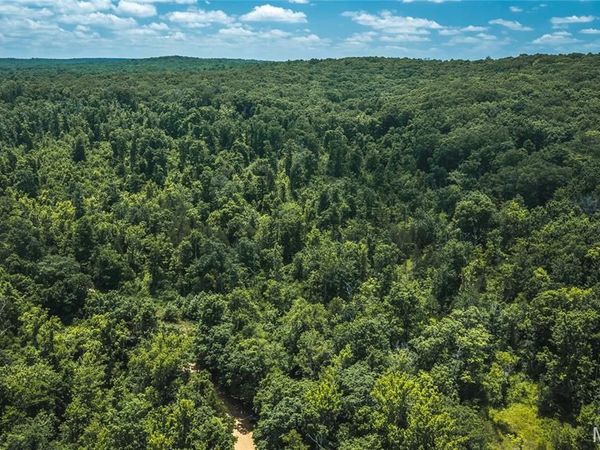 000 Czar Tower Road, Steelville, MO 65565