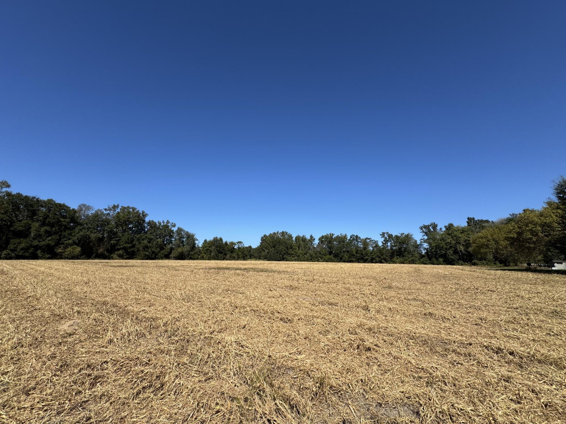 0 Clarks Hill Drive Photo 5