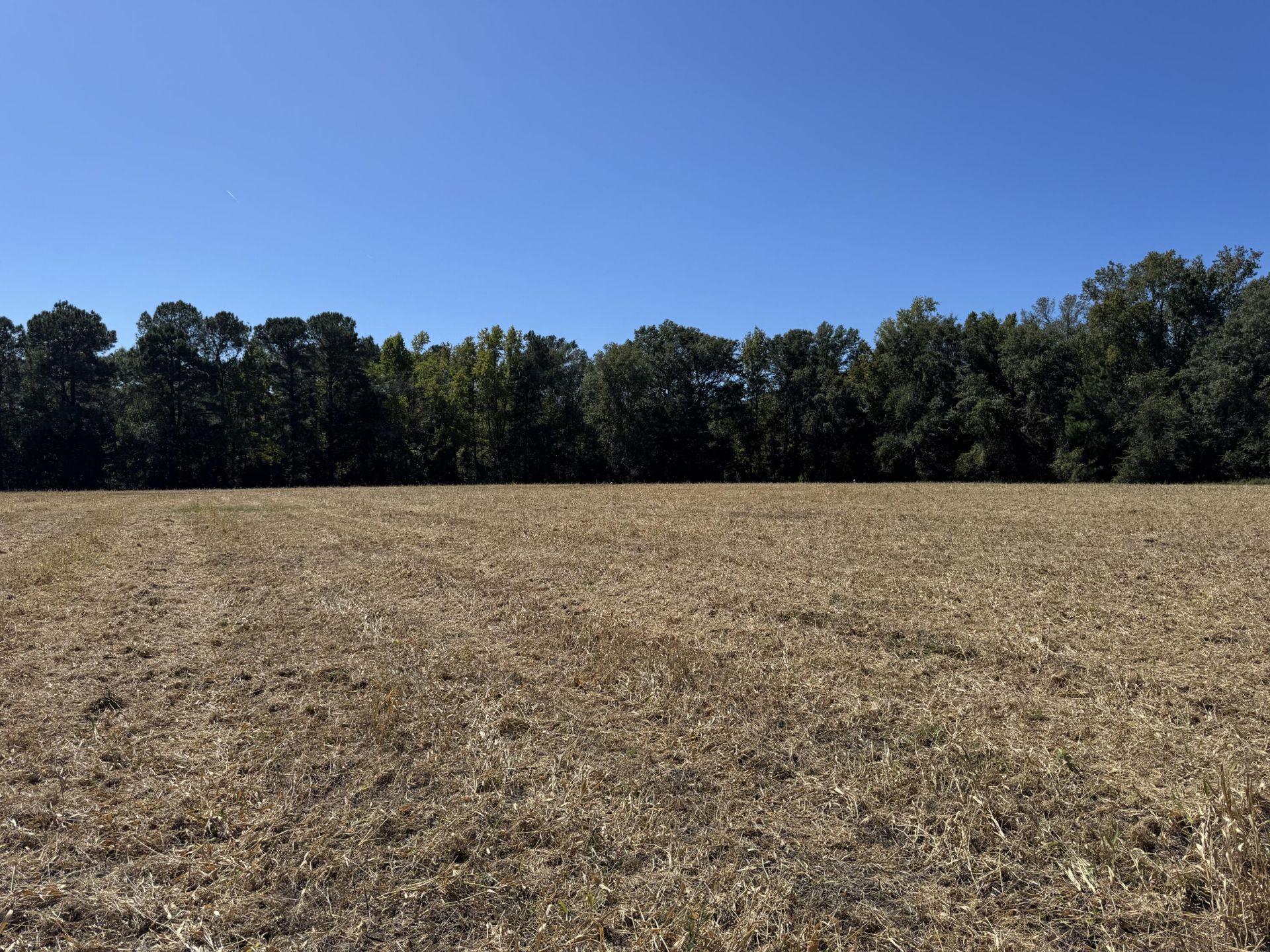 0 Clarks Hill Drive Photo 6