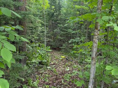 Lot 2 S Gull Lake Rd SW, Tenstrike, MN 56647