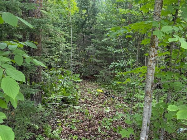 Lot 2 S Gull Lake Rd SW , Tenstrike, MN 56647