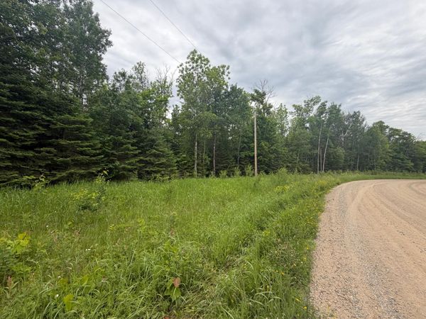 Lot 2 S Gull Lake Rd SW , Tenstrike, MN 56647