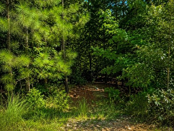 191 Shana Drive SW, Milledgeville, GA 31061
