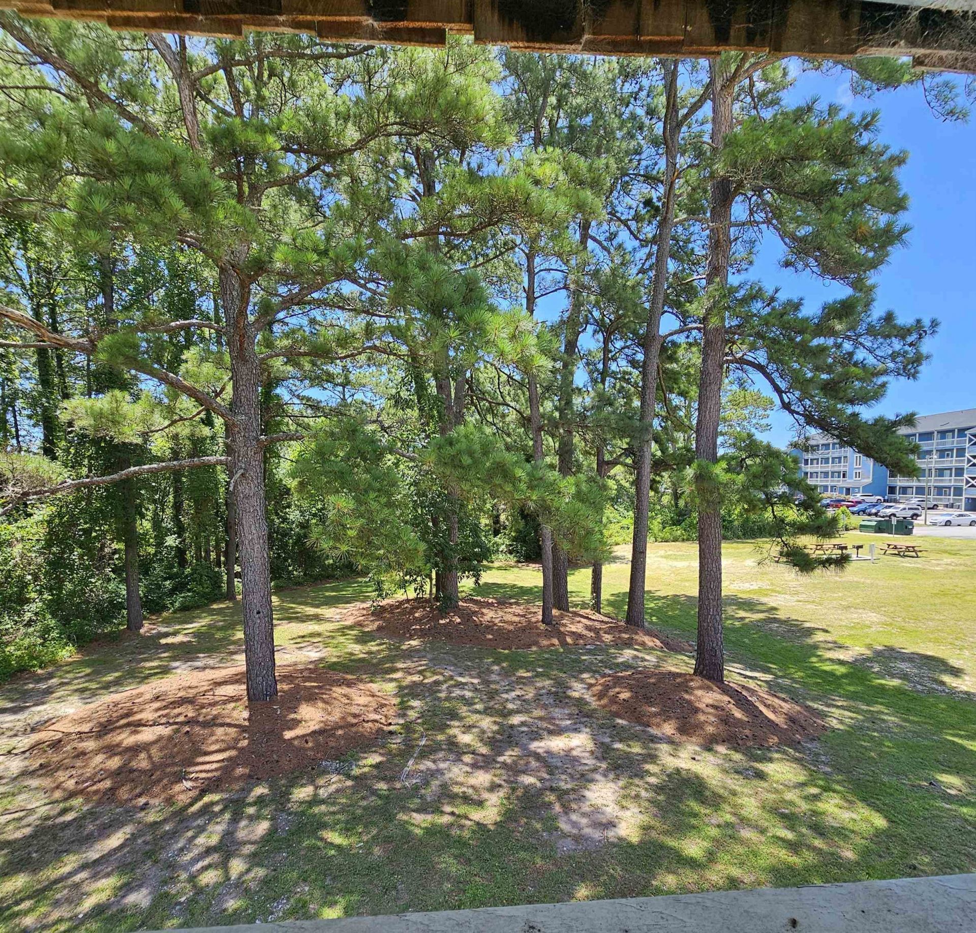 610 Putters Ln. Photo 13