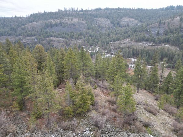 33055 Hawk Creek Ranch Rd N Rd, Davenport, WA 99122