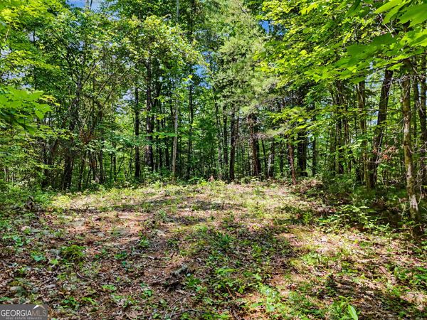 0 Hidden Falls Drive, Unit LOT 3, Tiger, GA 30576