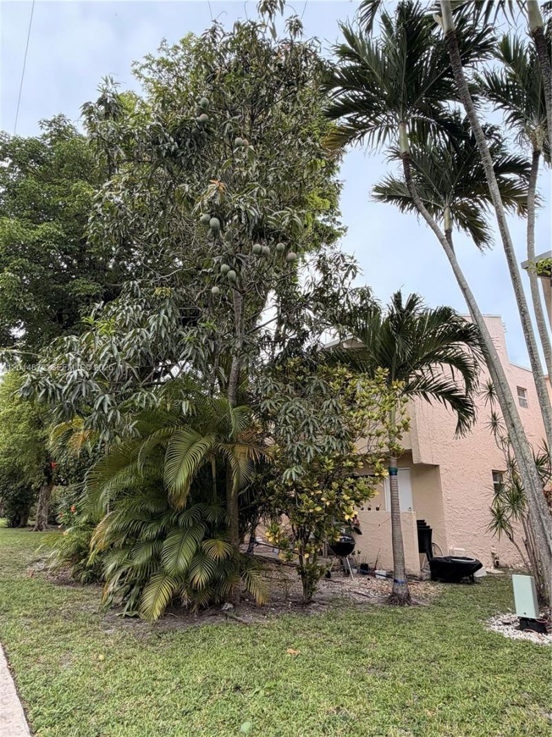 8925 NE 4 Avenue Rd , Unit 8925, Miami Shores, FL 33138 Photo