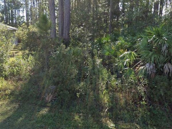31 RED CLOVER LANE , PALM COAST, FL 32164