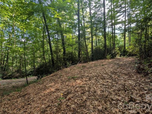 00 Chestnut Walk , Waynesville, NC 28786