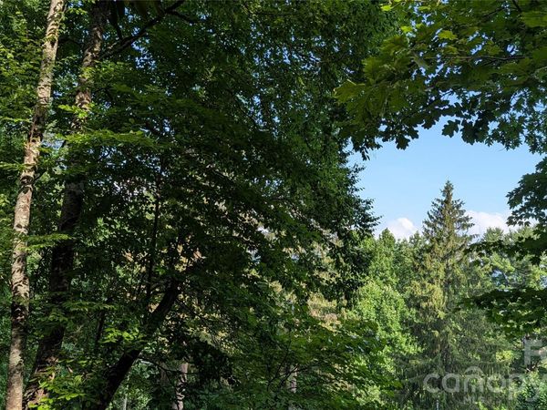 00 Chestnut Walk , Waynesville, NC 28786