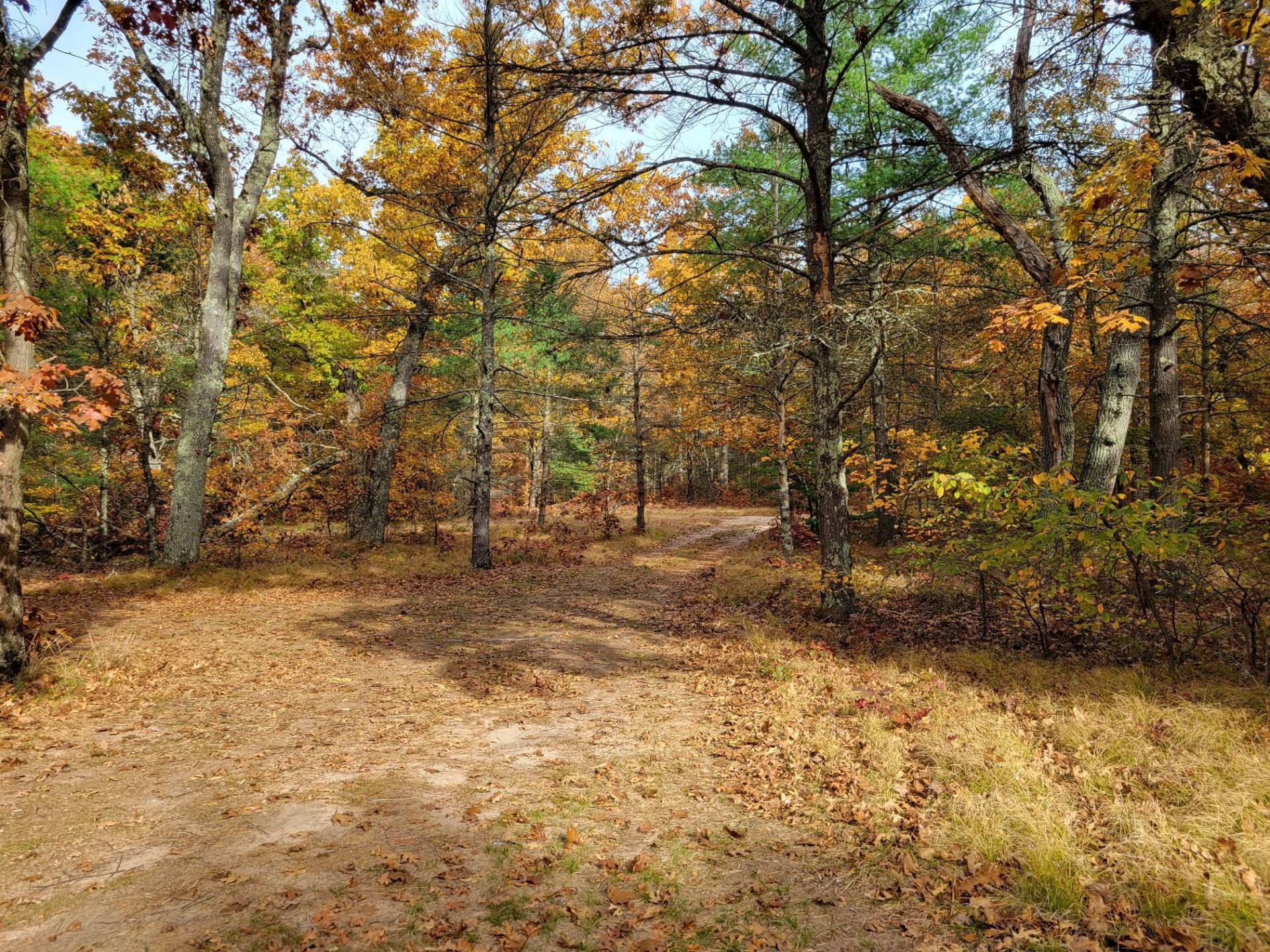 4.84 Ac 160th Avenue, Hesperia, MI 49421 Main Photo