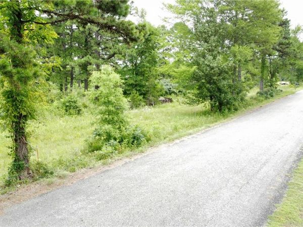 355 Cedar Ridge loop, Dover, AR 72837