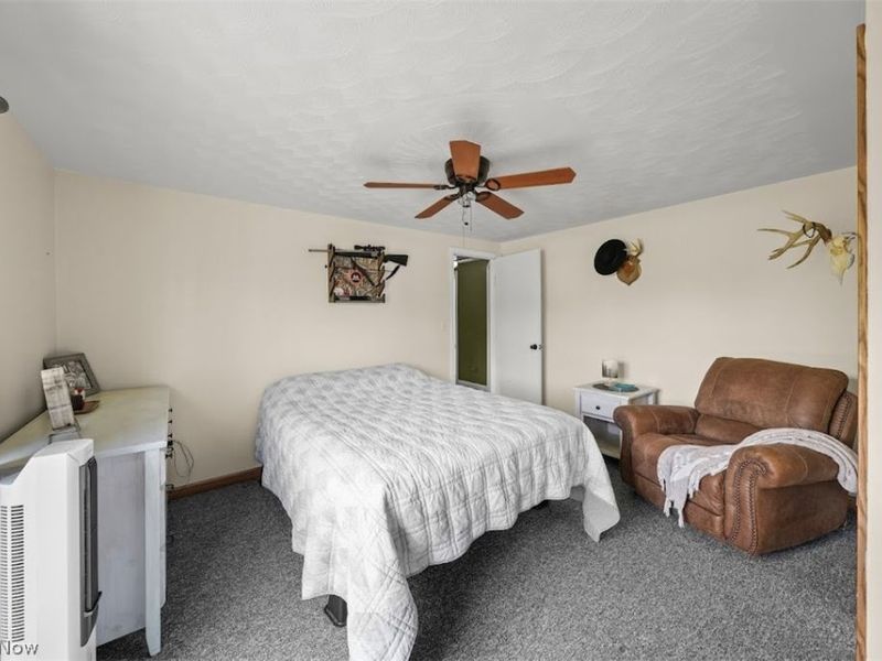 890 Bristol Champion Townline Road NE, Bristolville, OH 44402 Photo 12