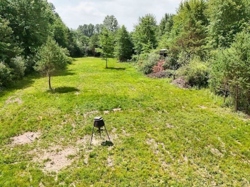 890 Bristol Champion Townline Road NE, Bristolville, OH 44402 Photo 29
