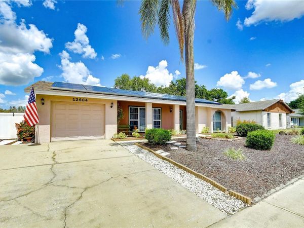 12604 TRUCIOUS PLACE , TAMPA, FL 33625