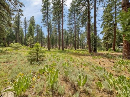 1910 F Street, South Lake Tahoe, CA 96150 Photo