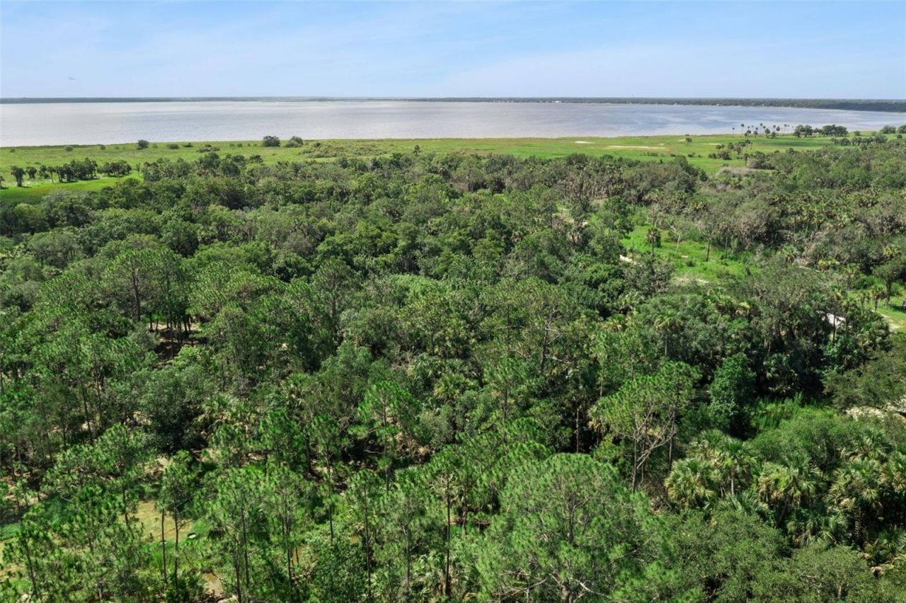 Canvasback Trail , Geneva, FL 32732 Photo