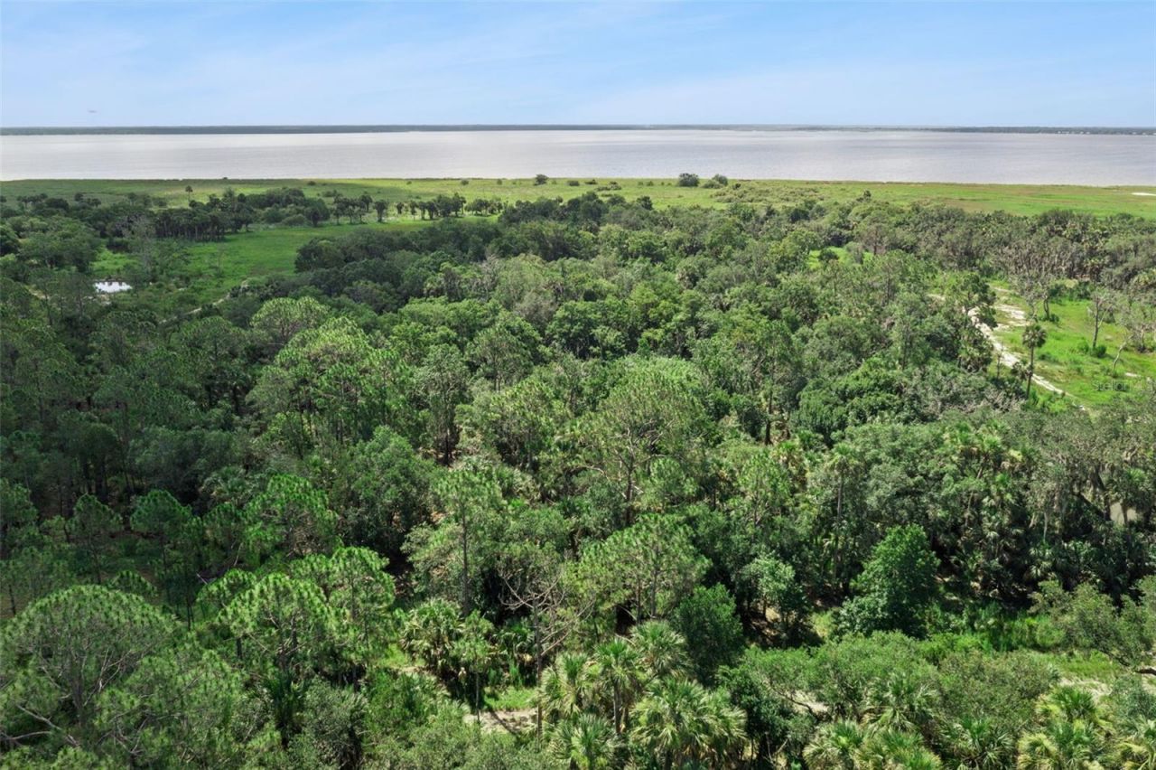 Canvasback Trail , Geneva, FL 32732 Photo