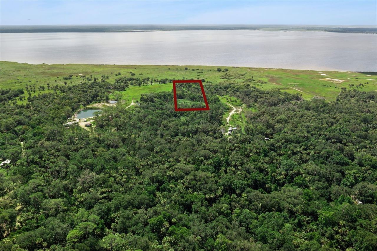 Canvasback Trail , Geneva, FL 32732 Photo