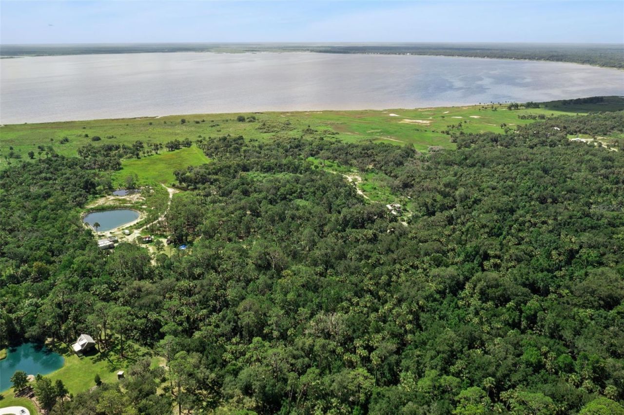Canvasback Trail , Geneva, FL 32732 Photo