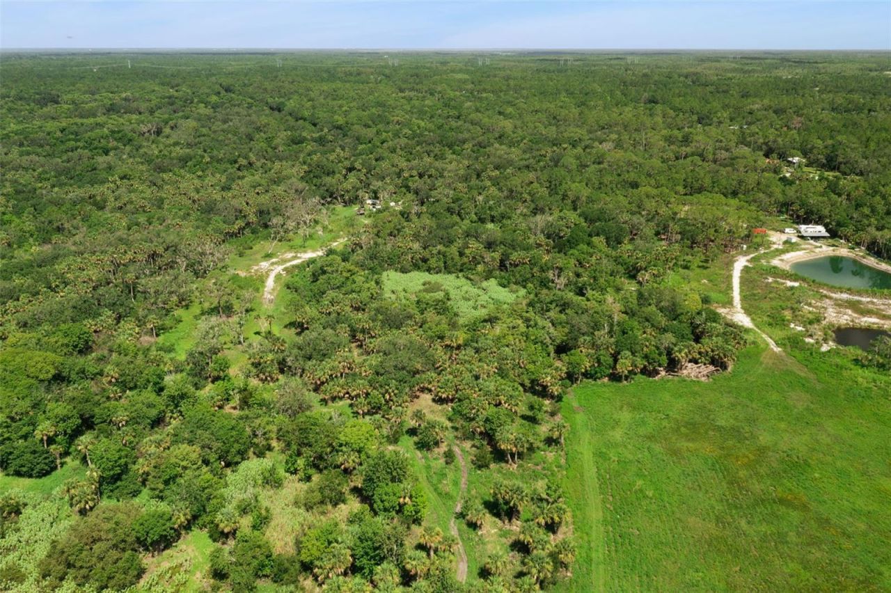 Canvasback Trail , Geneva, FL 32732 Photo