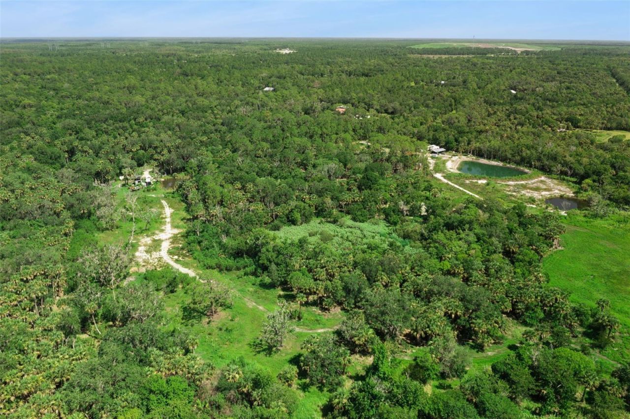 Canvasback Trail , Geneva, FL 32732 Photo