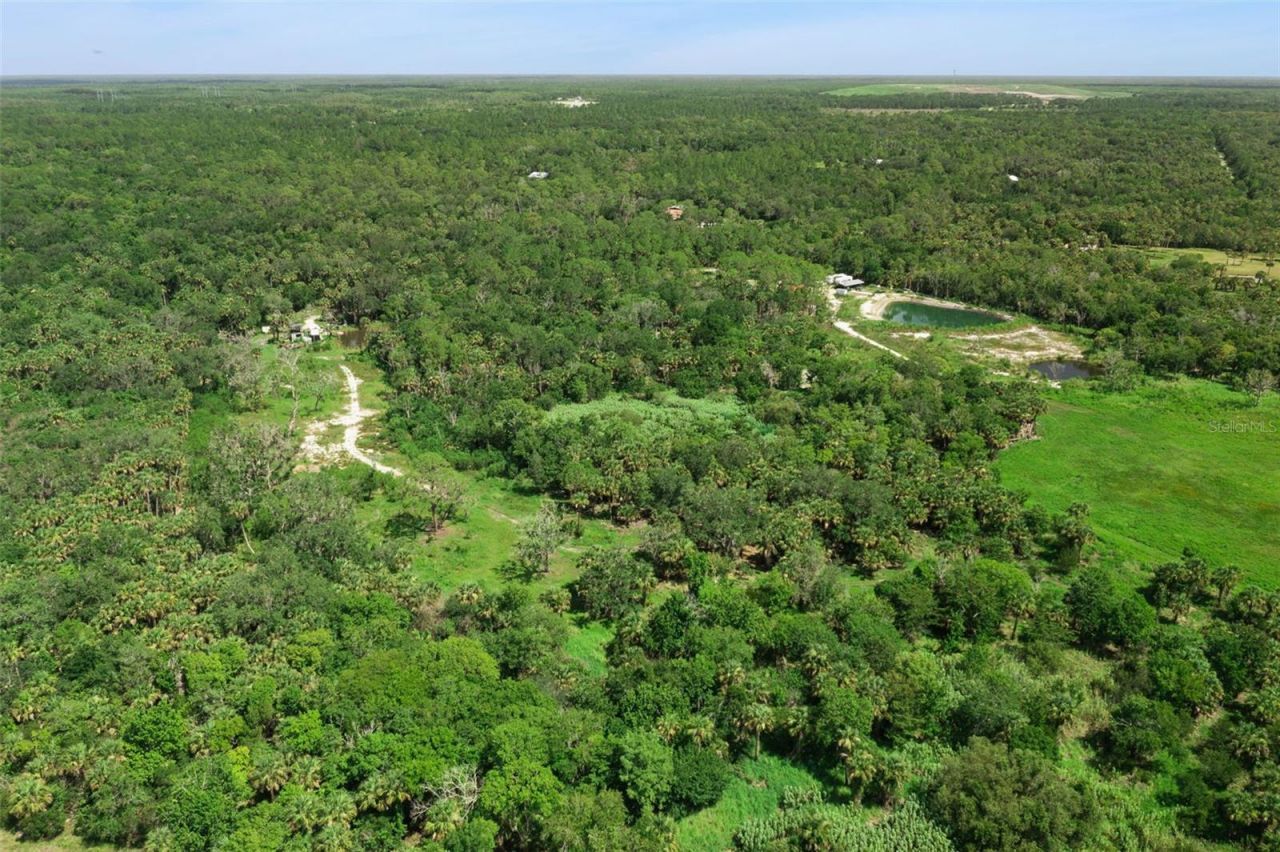 Canvasback Trail , Geneva, FL 32732 Photo