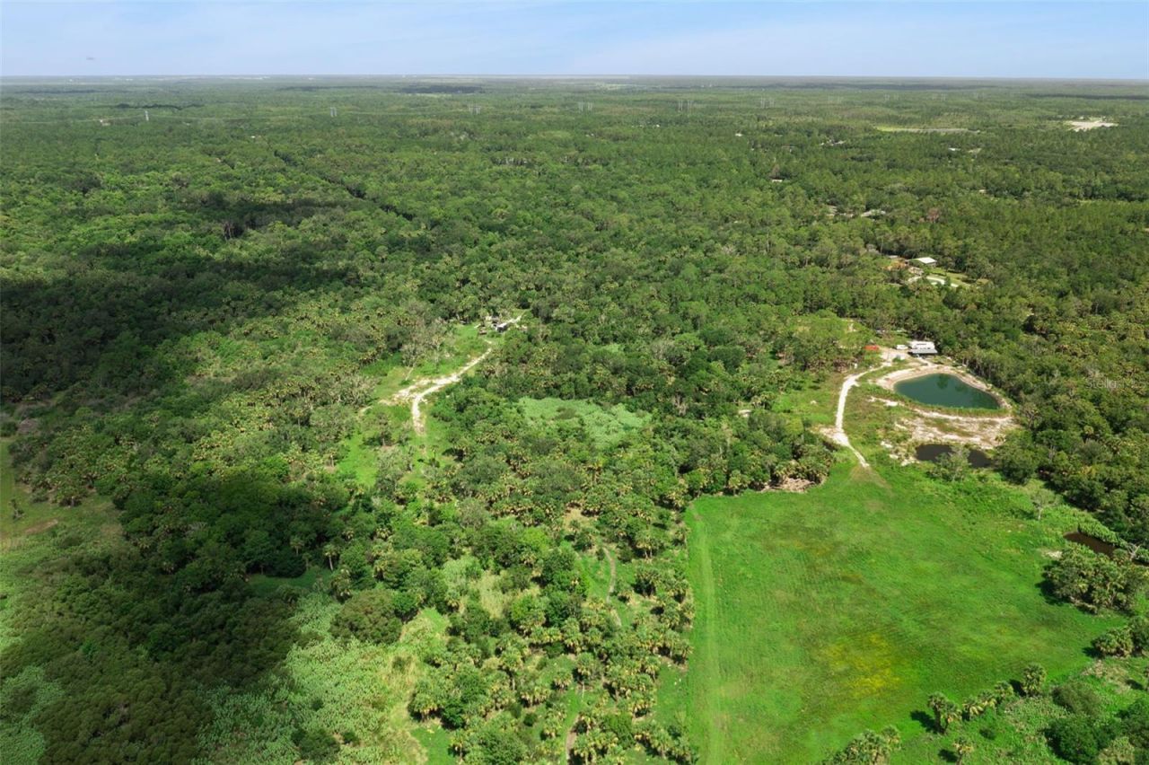 Canvasback Trail , Geneva, FL 32732 Photo