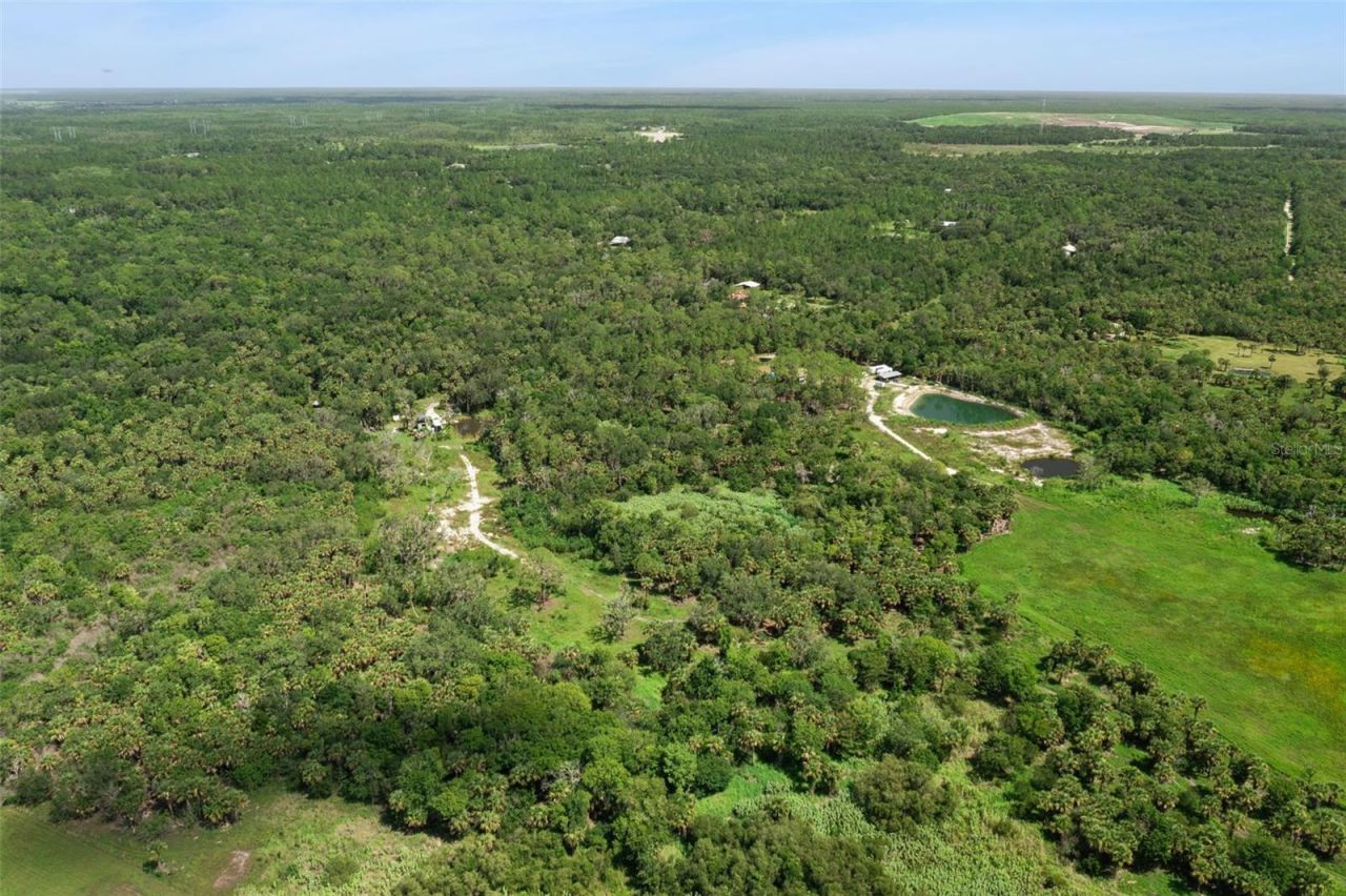 Canvasback Trail , Geneva, FL 32732 Photo